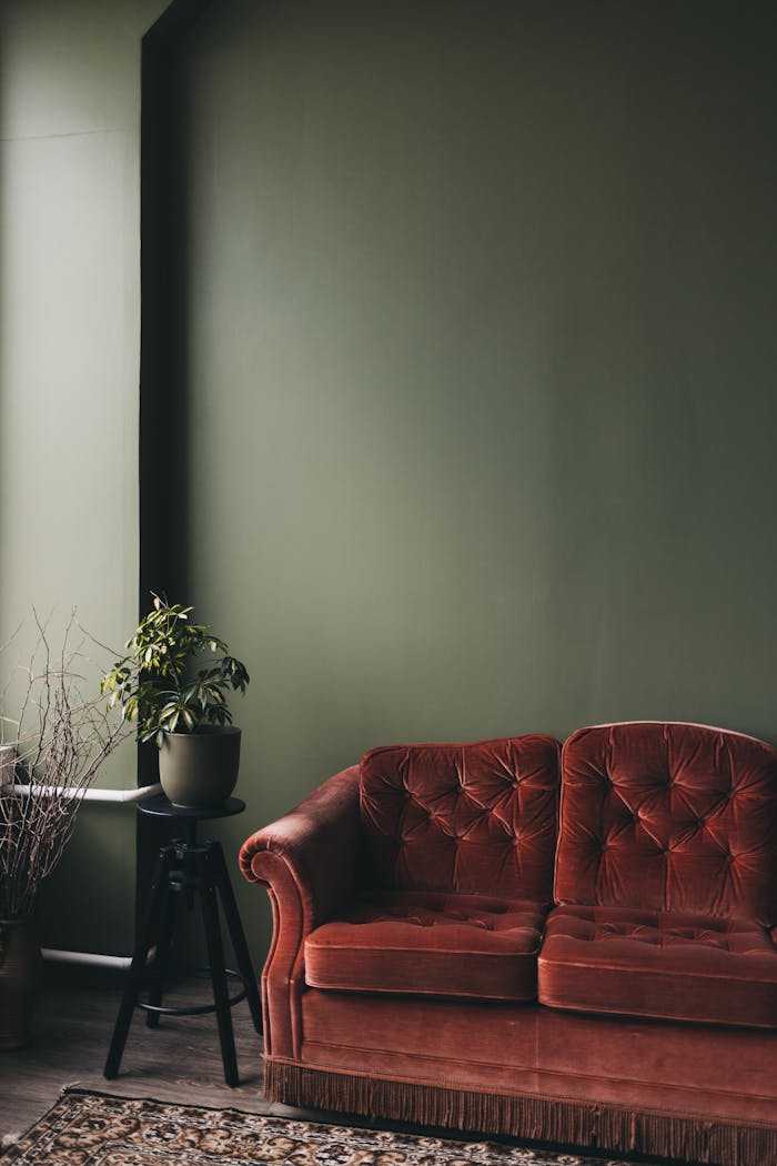 Elegant living room featuring a velvet sofa and potted plant against a green wall, ideal for design inspiration.